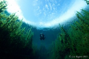 Snell's window in Piccaninnie Ponds