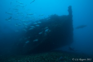 Diving the SS Yongala