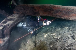 Cave diving training in Goulden's Sinkhole