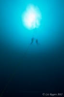 Divers in the ocean