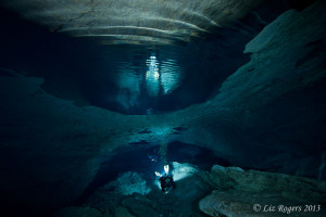 Triggerfish in Tank Cave