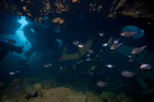 Wreck of the George Kermode