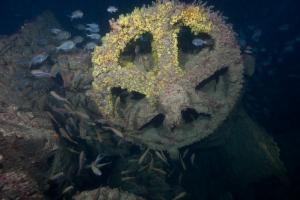 Cogwheel on the Sir William McPherson