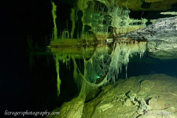 View the album Cave diving