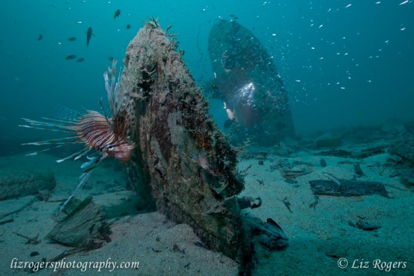 View the album Wreck diving